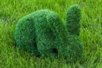 Топиари зайчик Лили - газон Eco