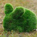 Топиари зайчик Лили - газон Premium