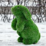 Топиари зайчик Тема - газон Premium