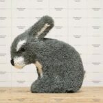 Топиари заяц Гримм, цветной - газон Eco