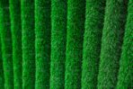 Топиари баян - газон Eco Green