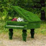 Топиари рояль Софии - газон Deluxe