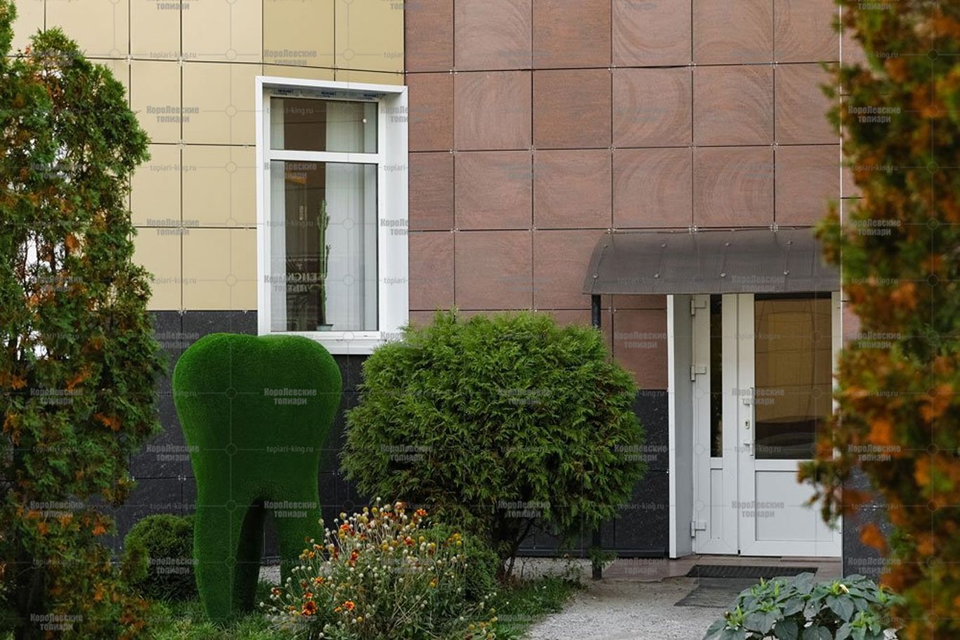 Топиари зуб - газон Eco Топиари зуб - газон Eco