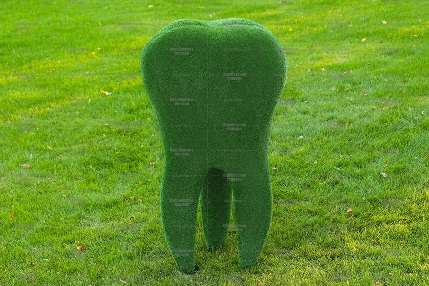 Топиари зуб - газон Eco Топиари зуб - газон Eco