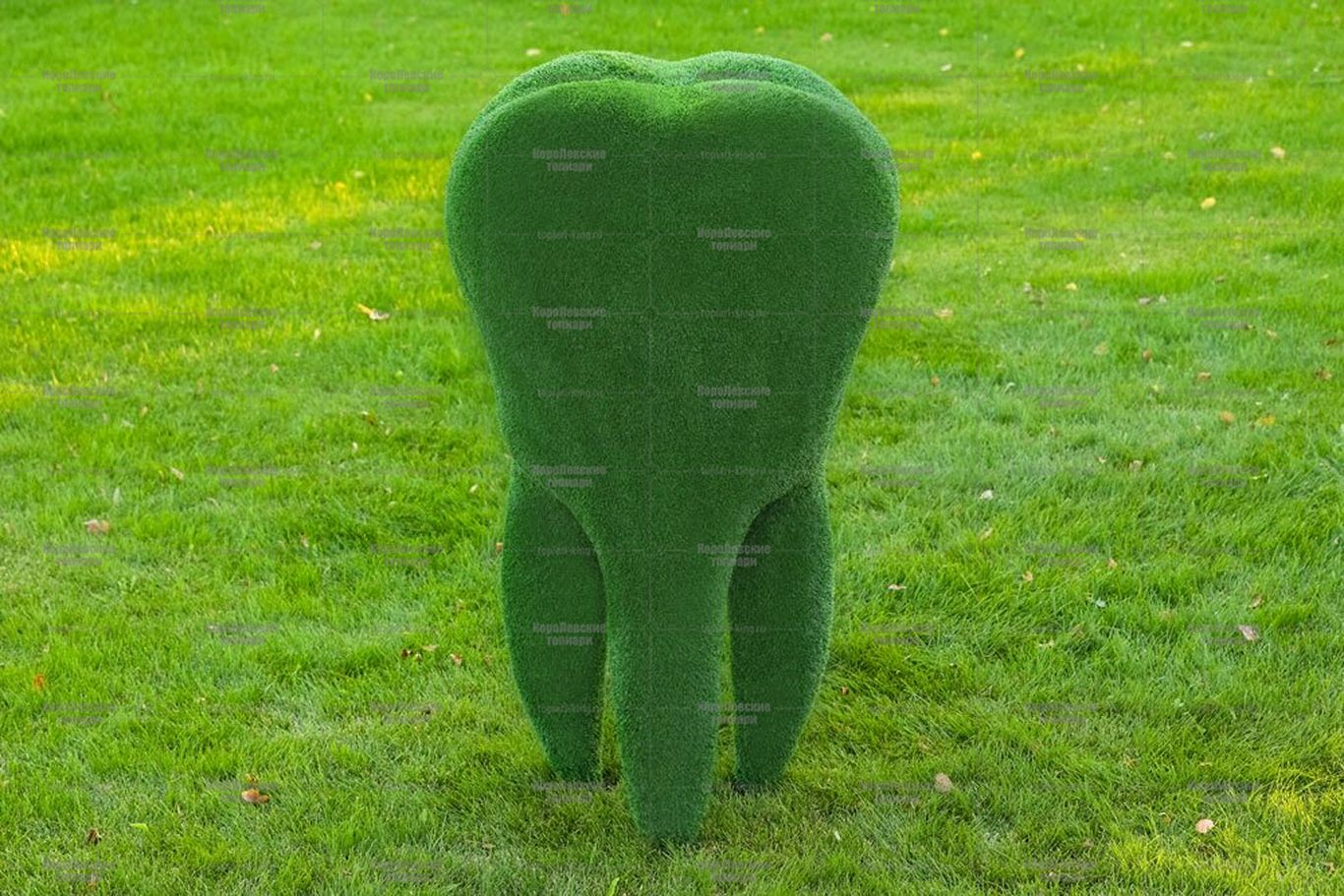 Топиари зуб - газон Eco Топиари зуб - газон Eco