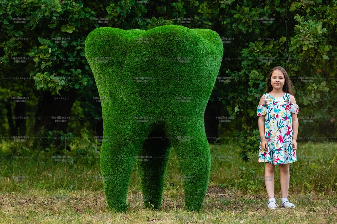 Топиари зуб - газон Eco Топиари зуб - газон Eco