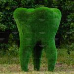 Топиари зуб - газон Eco