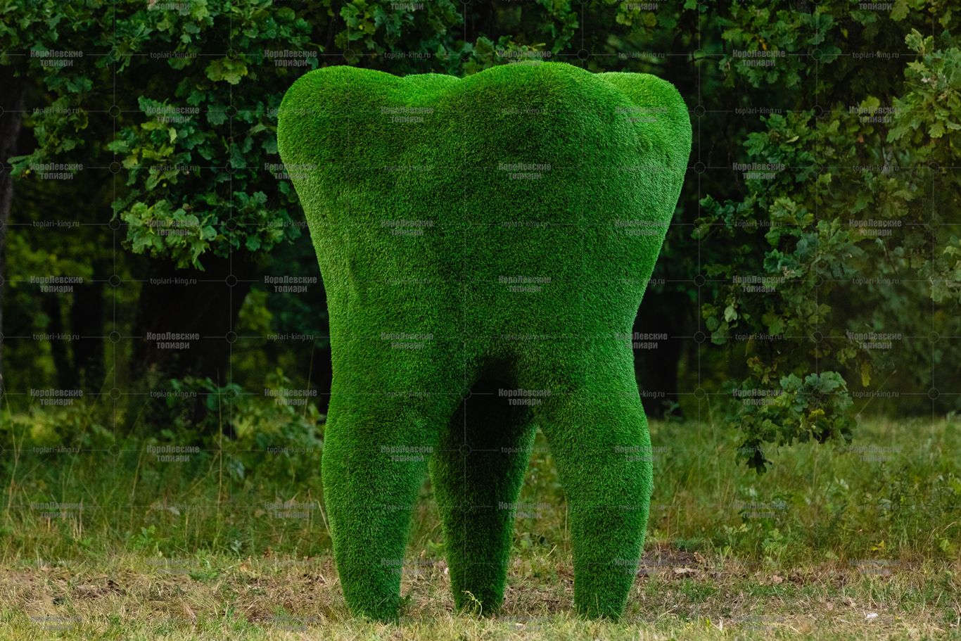 Топиари зуб - газон Eco Топиари зуб - газон Eco