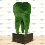 Топиари зуб ЗуБ’Ок, маленький - газон Deluxe