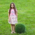 Топиари шар в виде куста туи, 40 см - газон Eco