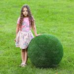 Топиари шар в виде куста туи, 70 см - газон Eco