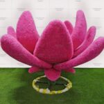 Топиари лотос - газон Eco