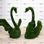 Топиари композиция лебедь Софи, модель 2 и лебедь Жакар - газон Есо