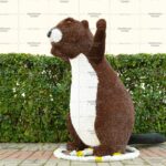 Топиари бобер Рич - газон Eco