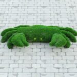 Топиари краб - газон Eco