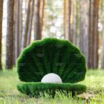 Топиари ракушка с жемчугом - газон Eco