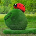 Топиари композиция божья коровка на яблоке Гренни - газон Eco Green + Eco