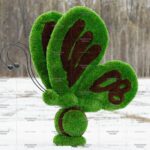 Топиари бабочка Какао - газон Premium