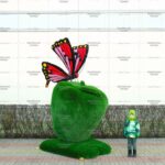 Топиари композиция бабочка Малинка на яблоке - газон Deluxe + Eco