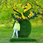 Топиари композиция бабочка на яблоке Розмарин - газон Eco + Deluxe