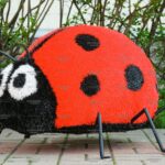 Топиари божья коровка - газон Eco