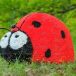 Топиари божья коровка Рита - газон Eco
