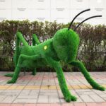 Топиари кузнечик - газон Eco