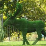 Топиари лось - газон Eco
