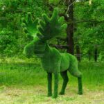 Топиари лось Карыч - газон Deluxe