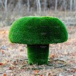 Топиари гриб сыроежка, размер М - газон  Deluxe