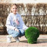 Топиари гриб шампиньон, размер S - газон Deluxe