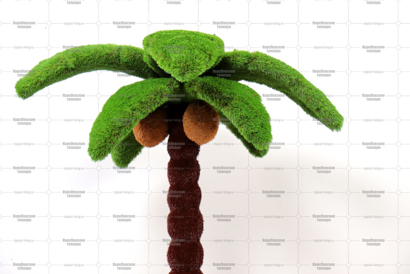 Топиари пальма - газон Eco + Premium Топиари пальма - газон Eco + Premium