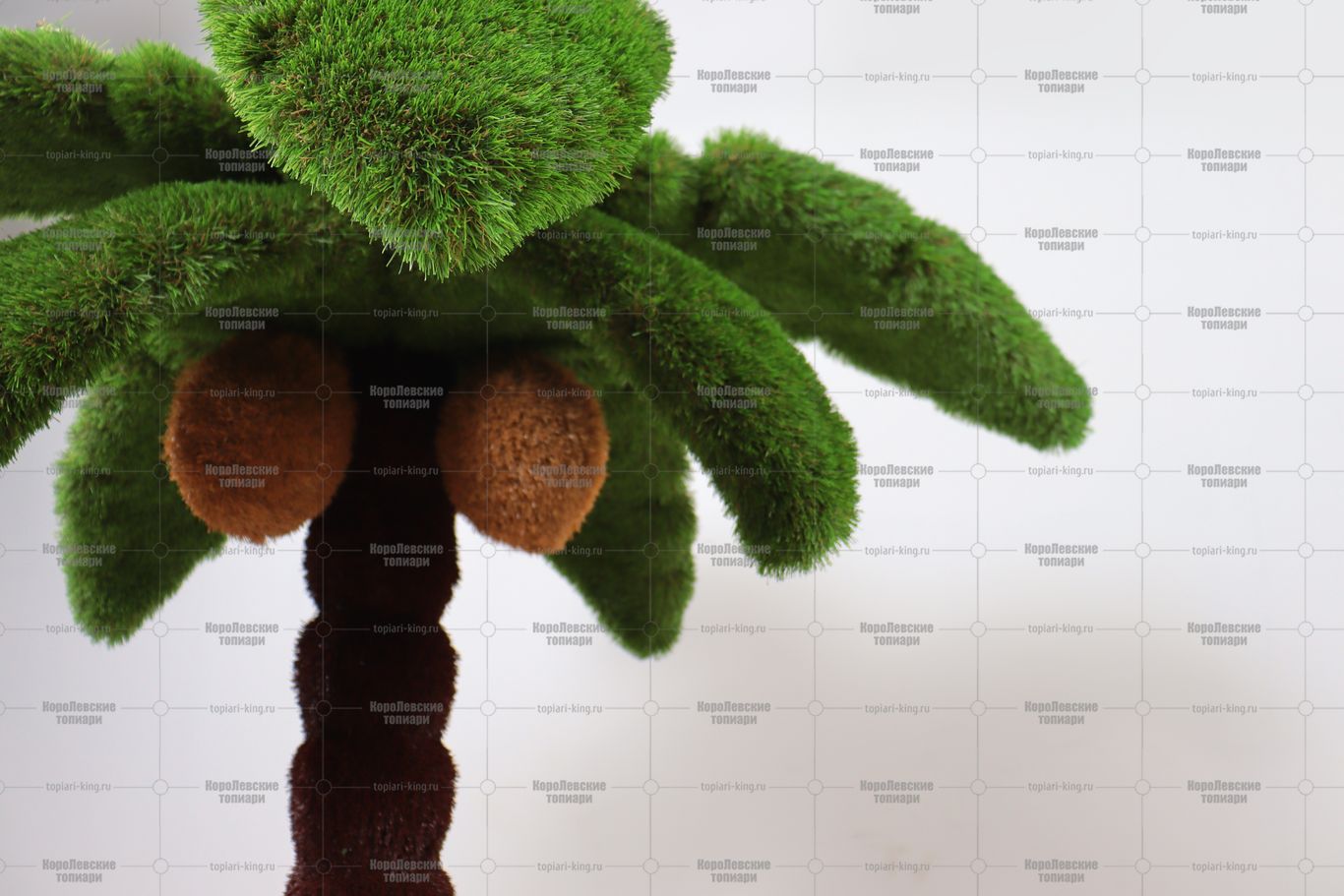 Топиари пальма - газон Eco + Premium Топиари пальма - газон Eco + Premium