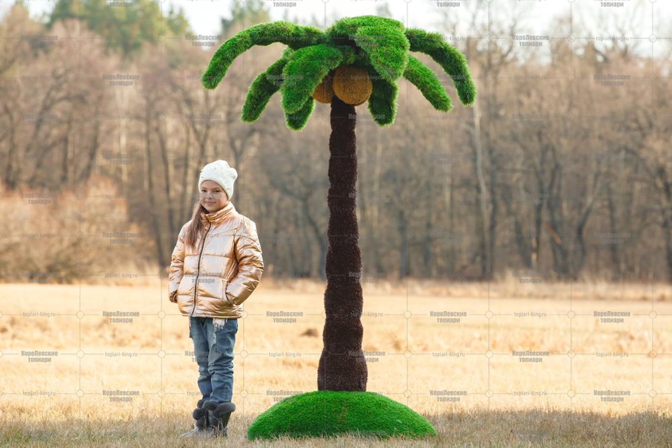 Топиари пальма - газон Eco + Premium Топиари пальма - газон Eco + Premium