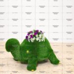 Топиари черепаха Ида с кашпо - газон Premium