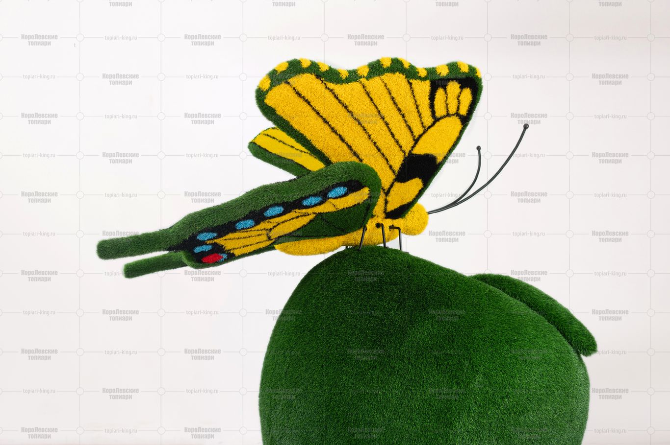 Топиария композиция бабочка на яблоке Грени - газон Deluxe Green Топиария композиция бабочка на яблоке Грени - газон Deluxe Green