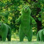 Топиари композиция три медведя - газон  Eco