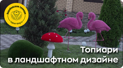 Топиари в ландшафтном дизайне